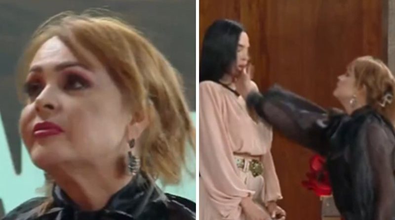 A Fazenda 17: Gabriela Spanic dá tapa em Tamires e pede para sair do reality
