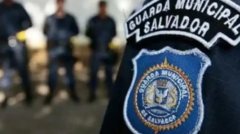 Foto: Divulgação / GCM