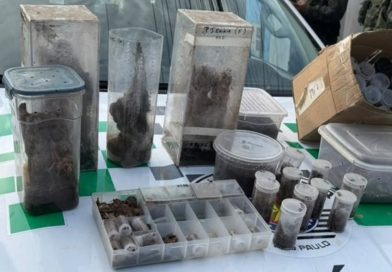 PF realiza operação em Salvador contra tráfico de animais silvestres