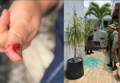 Macaco de ex-deputado foge e causa confusão em condomínio de Salvador