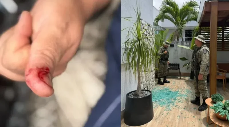 Macaco de ex-deputado foge e causa confusão em condomínio de Salvador